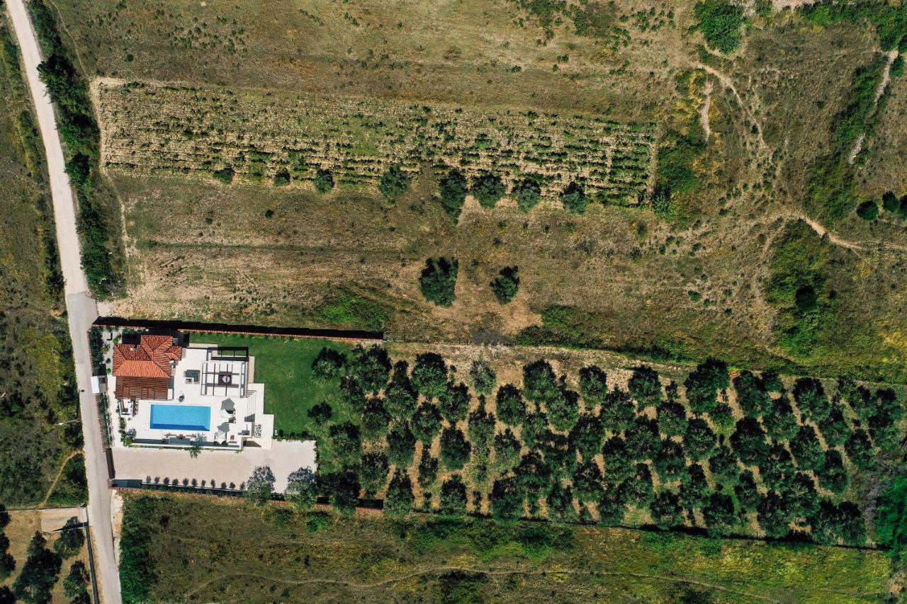 Villa Olivetum Zadar Luaran gambar