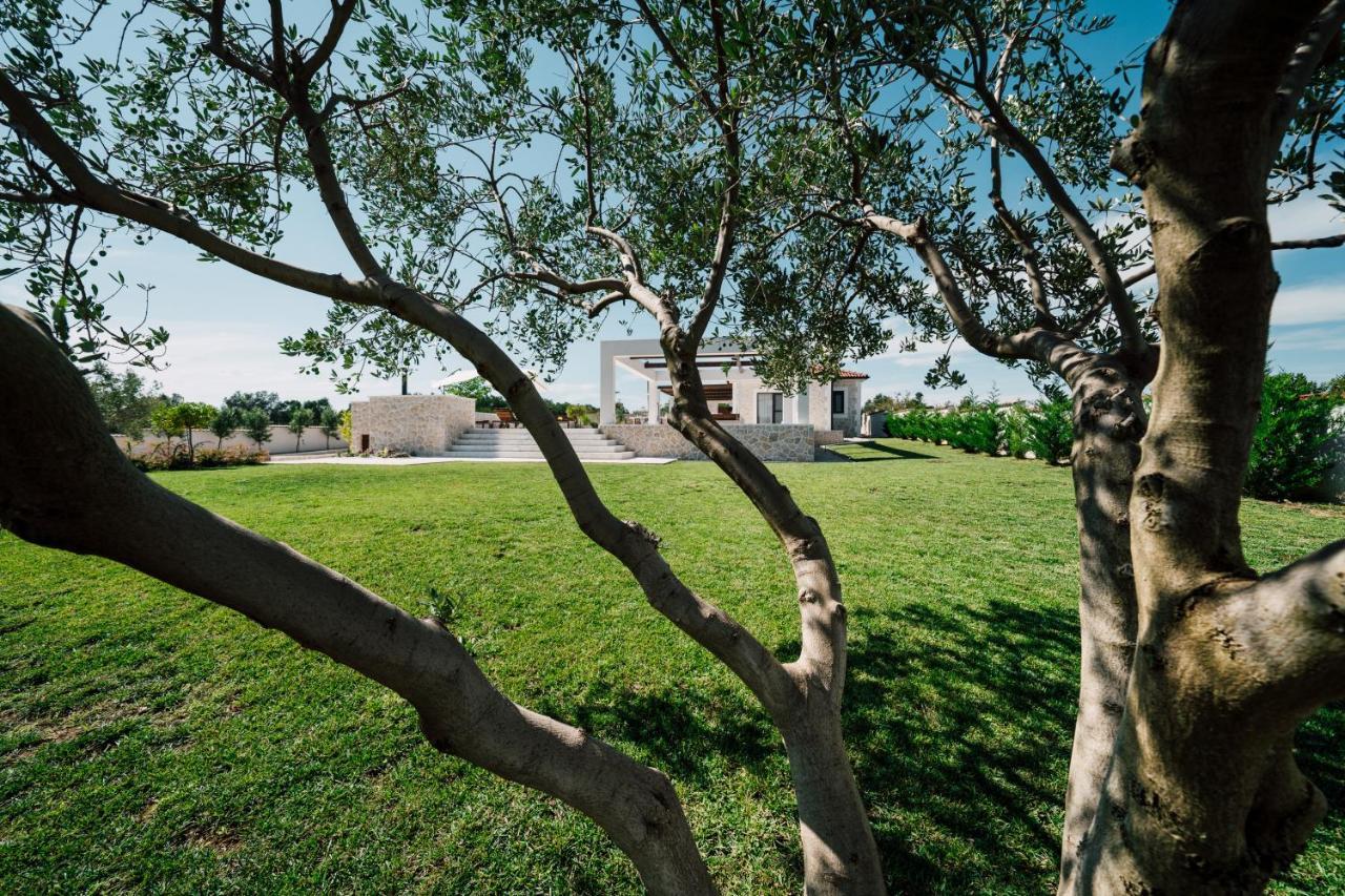 Villa Olivetum Zadar Luaran gambar